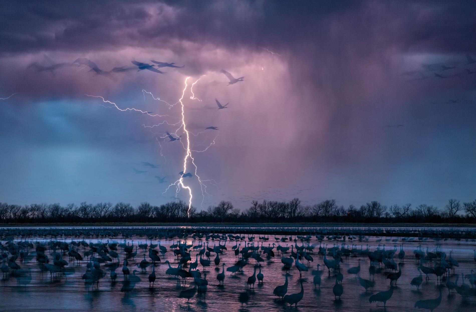 Ảnh[-]thiên[-]nhiên[-]nhói[-]lòng[-]năm[-]2016[-]của[-]NatGeo